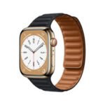 Apple Watch Series 8 Repair Velachery