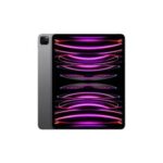 iPad Pro 12.9 6th Gen Repair Chennai, OMR, Karapakkam