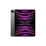 iPad Pro 12.9 6th Gen Repair Chennai, OMR, Karapakkam